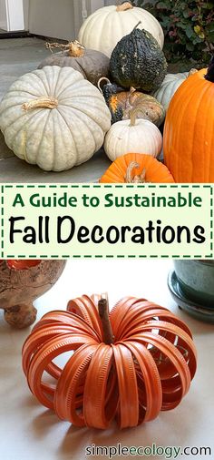 pumpkins and gourds with text overlay that reads a guide to suitable fall decorations