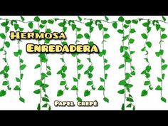 some green leaves are growing on the side of a white wall with words that read, hermosa entreadera paper chef