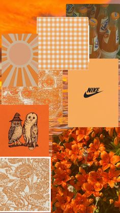 an orange and white collage with different items on it, including flowers, sunburst