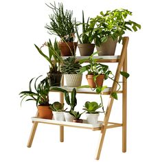 a wooden shelf filled with potted plants on top of white tiles and wood legs