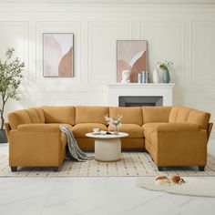 a living room scene with focus on the couch and coffee table in the center area