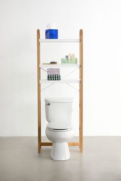 a white toilet sitting next to a wooden shelf