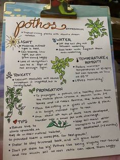 a clipboard with some writing on it that says pothos's and other things