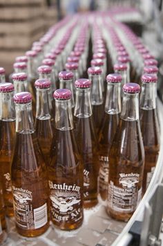 bottles of beer are lined up on a conveyor belt