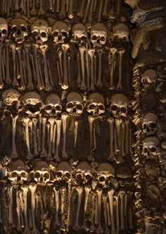 many skulls and bones are arranged on the wall