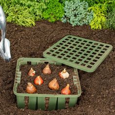 the garden is ready to be planted and put in the ground with some gardening tools