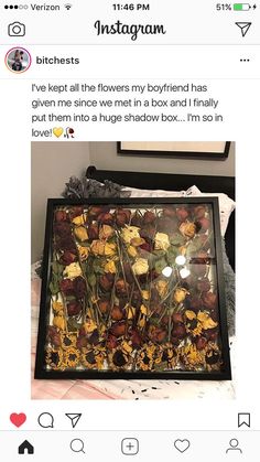 flowers in a shadow box with the caption i've kept all the flowers my boyfriend has given me once went into a box and i finally put them into a huge shadow box