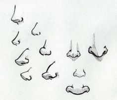 several different types of nose shapes and their corresponding parts are shown in this drawing technique