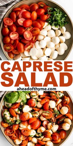 caprese salad with tomatoes, mozzarella and spinach on the side