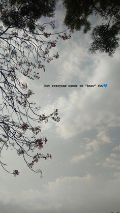 an airplane flying through the sky with trees in front of it and some clouds above