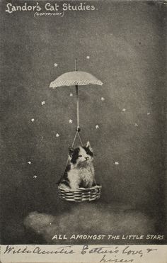 an old black and white photo of a dog in a basket with an umbrella over its head