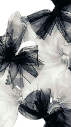 abstract black and white photograph of flowers