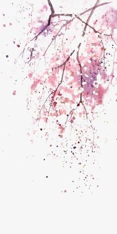 watercolor painting of pink and purple flowers on a white background with black branches in the foreground