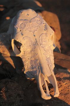 an animal skull is sitting on the ground next to some rocks and dirt, with light coming from behind it