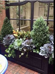 a window box filled with lots of green plants