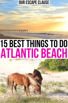 two horses on the beach with text overlay that reads, 15 best things to do at atlantic beach