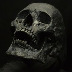 a close up of a human skull on a black background