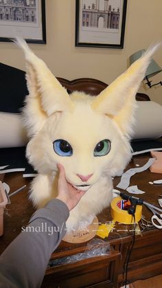 a white cat with blue eyes is being petted by someone's hand on a table