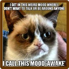 a grumpy cat with the caption you're the inspiration for changing today to throat punch thursday