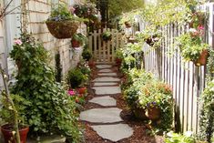 a stone path is surrounded by potted plants and other flowers in the back yard