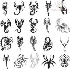 the different types of scorpion tattoos