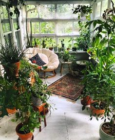 a room filled with lots of green plants and white tables covered in chairs next to each other