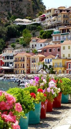 many potted plants are lined up on the sidewalk in front of houses and boats