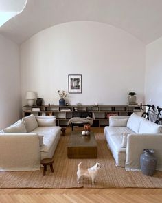 a living room filled with furniture and a dog standing in the middle of the room