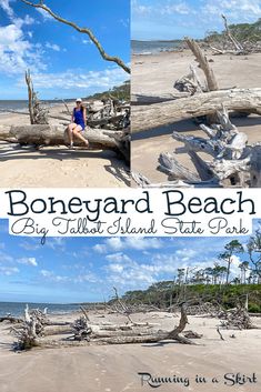 a woman sitting on top of a tree branch in front of the ocean with text that reads, boneyard beach big tall island state park