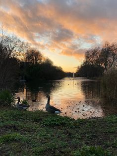 two ducks are sitting on the bank of a lake at sunset or dawn with clouds in the sky