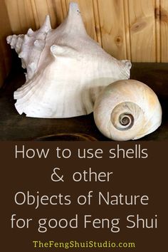 shells and other objects on a table with the words how to use shells & other objects of nature for good feng shu