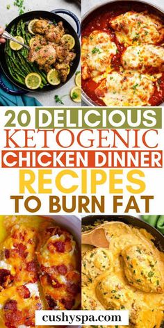 Here are 20 ketogenic chicken dinner recipes that are great if you want to put yourself into ketosis. Try these to lose weight. Keto Chicken Recipes, Keto Dinners, Keto Recipes Dinner, Keto Chicken, Low Carb Dinner, Low Carb Meals, Delicious Chicken, Keto Diet For Beginners