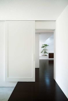 an open door leading into a white room with black flooring and wooden floors in front of a potted plant