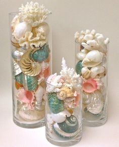 three glass vases filled with shells and seashells