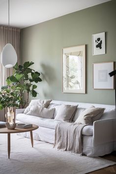 a living room with green walls and white furniture