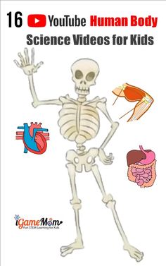 science videos for kids: YouTube videos teaching human body systems, by grade level Science Videos For Kids, Youtube Video Ideas, Body Science, 6th Grade Science