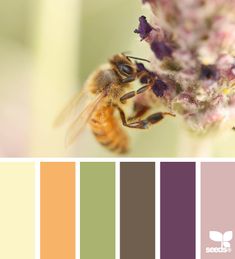 a bee sitting on top of a purple flower next to a green and yellow color palette