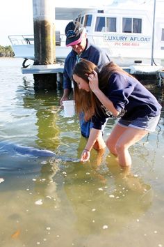 two people standing in the water looking at a dolphin's tail as it lays on its side