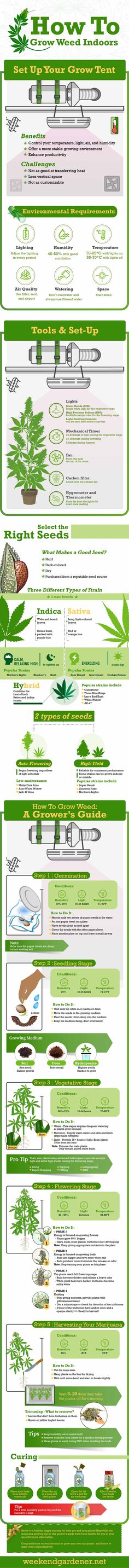 an info sheet showing the different types of trees