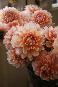 a vase filled with pink flowers on top of a table