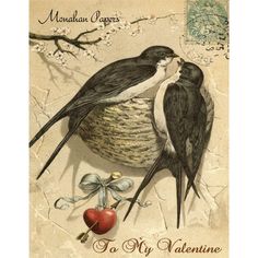 To My Valentine-V34 decoupage paper by Monahan Papers available at Milton's Daughter. Pair of birds building a nest-Valentine's Day motif, 11 x 17 Bird Printables, Love Birds Painting, Pink French, Graphics Fairy, Decoupage Vintage, Swallows, Bird Illustration, Vintage Birds, Vintage Printables