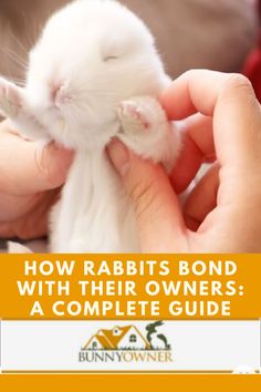 a person holding a small white animal in their hands with the caption how rabbits bond with their owners a complete guide