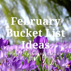 purple flowers with the words, february bucket list ideas