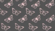 pink butterflies on a black background, with white outlines in the shape of a butterfly