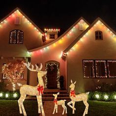 christmas lights decorate the outside of a house with deer and fawns in front