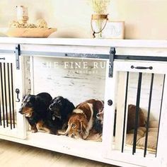 three dogs are sitting in the dog kennel