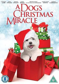 a dog's christmas miracle dvd cover with a white dog in a red box surrounded by presents