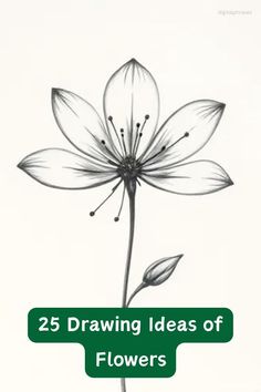 a drawing of a flower with the words 25 drawing ideas for flowers written below it