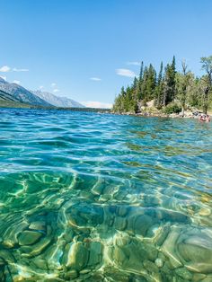 the water is crystal clear and blue