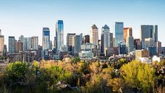 a city skyline with tall buildings and trees in the foreground on a sunny day